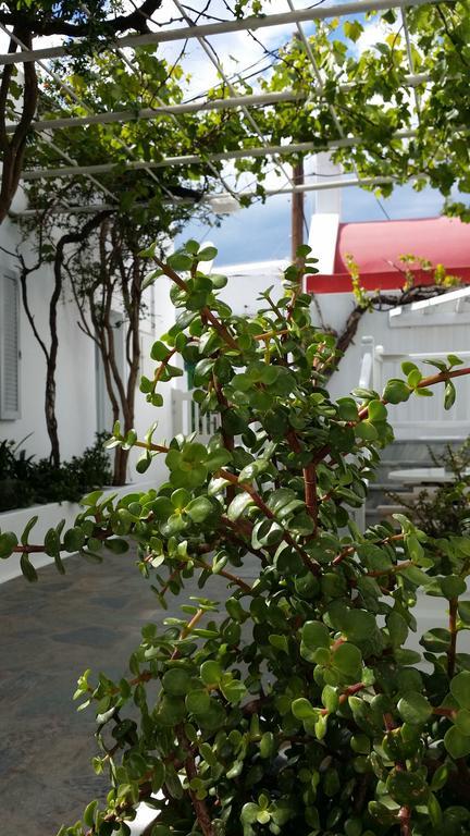 Christina Studios Mykonos Town Exterior photo